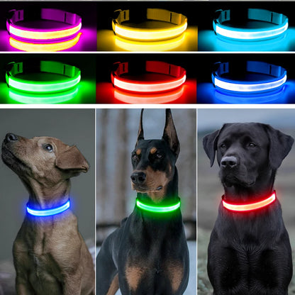 GlowPaw Safety Collar - Animal & Pet Supplies - Boopawdoo